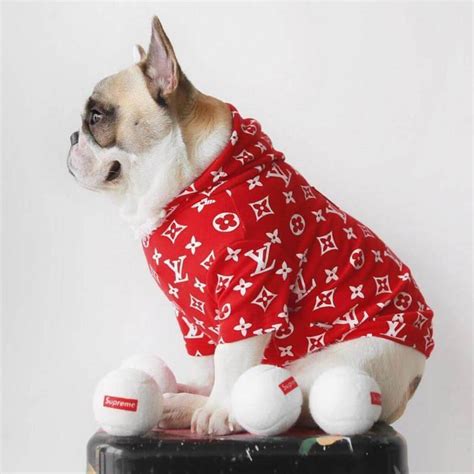 louis vuitton dog shirt